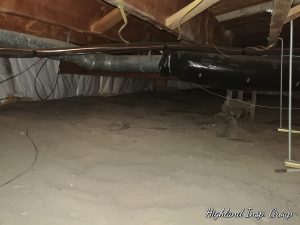 Mold Removal | Crawlspace | Home inspection
