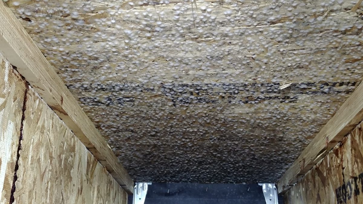 Mold Growth Found in New Construction Crawlspace Bozeman, MT